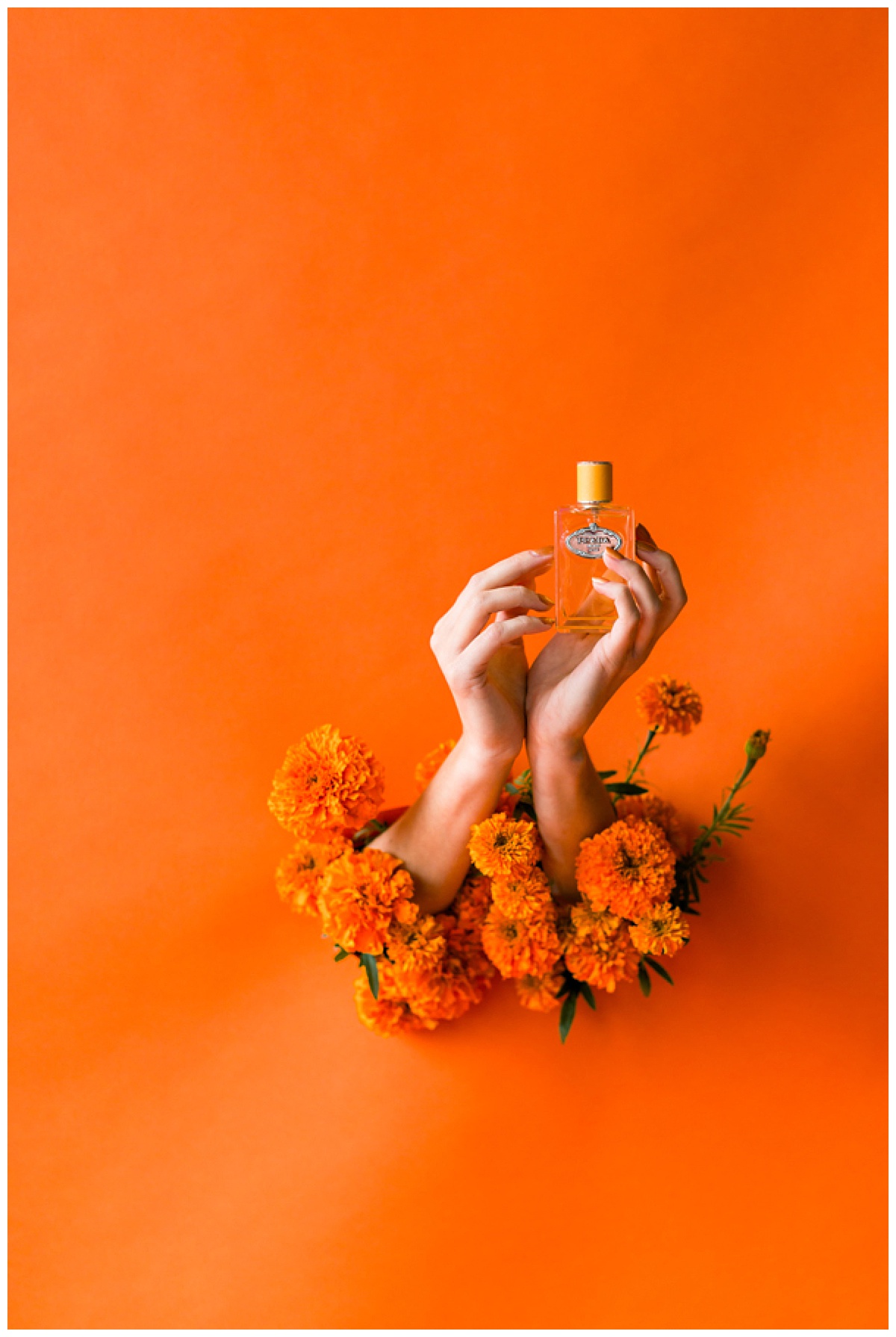Hands surrounded by orange carnations pop through a burnt orange backdrop holding a perfume bottle.